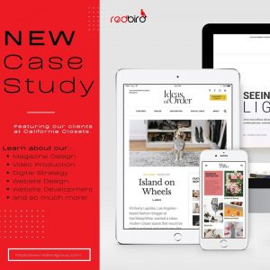 Prototype for Red Bird Global as a visual representation of what case study graphics may look like.